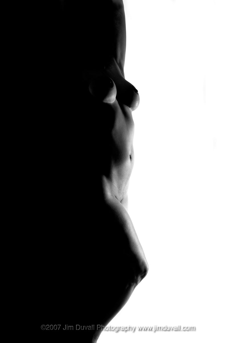 Nude female silhouette